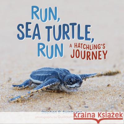 Run, Sea Turtle, Run: A Hatchling's Journey Stephen Swinburne 9781541578128 Millbrook Press (Tm)