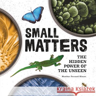 Small Matters: The Hidden Power of the Unseen Heather Ferranti Kinser 9781541578142