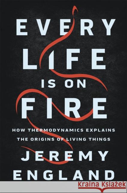 Every Life Is On Fire: How Thermodynamics Explains the Origins of Living Things Jeremy England 9781541699014 Basic Books