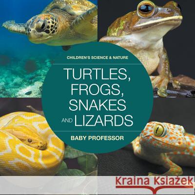 Turtles, Frogs, Snakes and Lizards Children's Science & Nature Baby Professor 9781541904378 Baby Professor