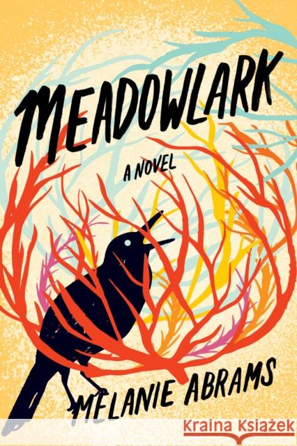 Meadowlark: A Novel Melanie Abrams 9781542007344