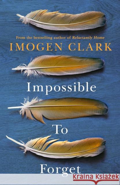 Impossible To Forget Imogen Clark 9781542021180