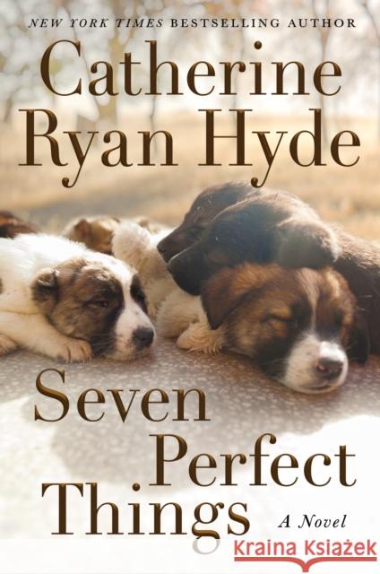 Seven Perfect Things Hyde, Catherine Ryan 9781542021548 Lake Union Publishing
