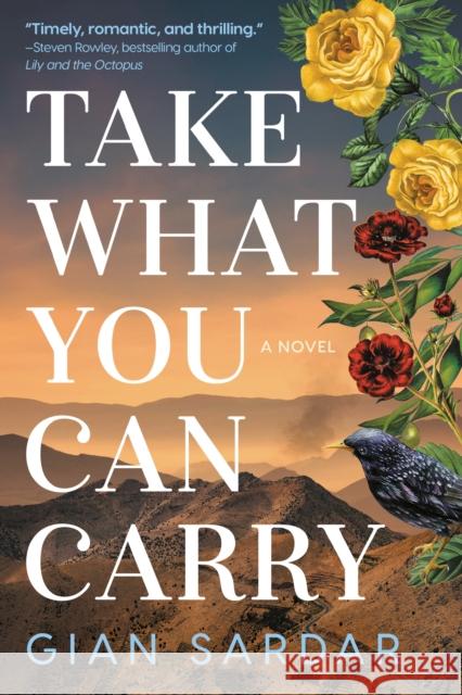 Take What You Can Carry: A Novel Gian Sardar 9781542022422 Amazon Publishing