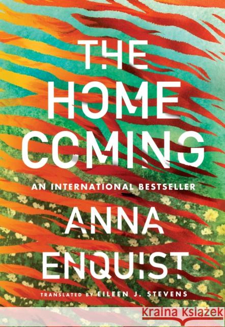 The Homecoming Anna Enquist Eileen J. Stevens 9781542025423