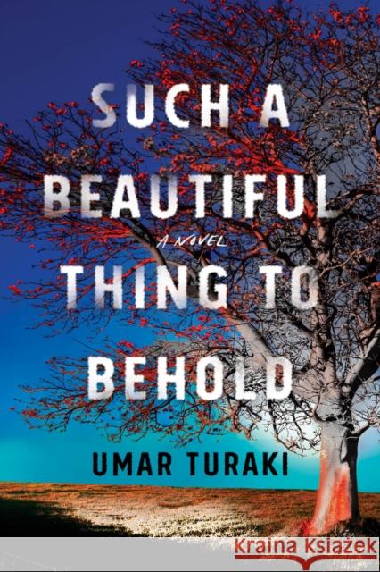 Such a Beautiful Thing to Behold: A Novel Umar Turaki 9781542034678 Amazon Publishing