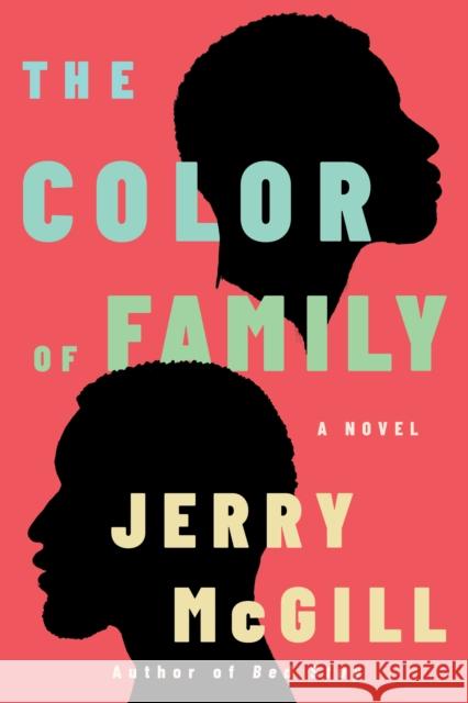 The Color of Family: A Novel Jerry McGill 9781542035637 Amazon Publishing