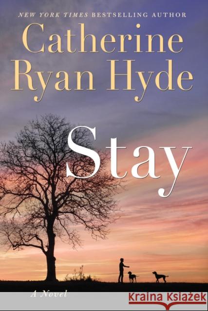 Stay Catherine Ryan Hyde 9781542042383 Amazon Publishing