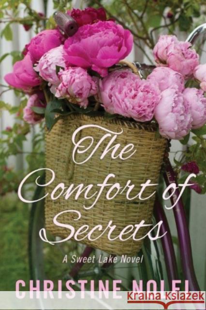 The Comfort of Secrets Christine Nolfi 9781542045711 Amazon Publishing