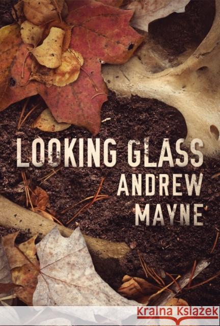 Looking Glass Andrew Mayne 9781542047999 Amazon Publishing