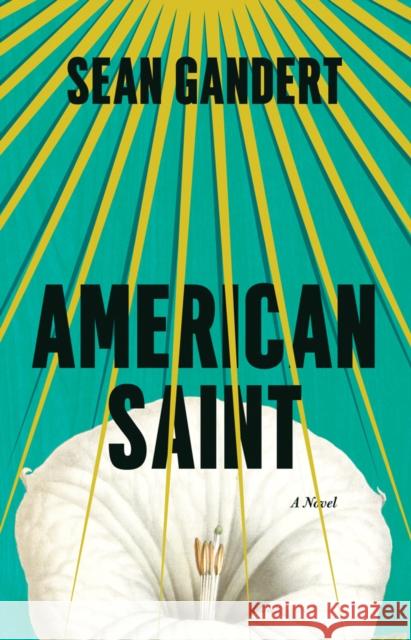 American Saint: A Novel Sean Gandert 9781542048965 47north