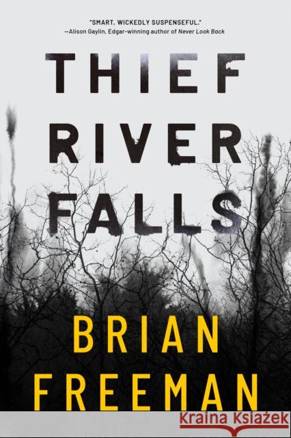 Thief River Falls  9781542093385 Amazon Publishing