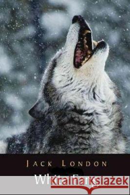 White Fang Jack London G-Ph Ballin 9781542304245 Createspace Independent Publishing Platform