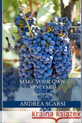 Make Your Own Vineyard: Ex Vite Vita Dr Andrea Scars 9781542436694 Createspace Independent Publishing Platform