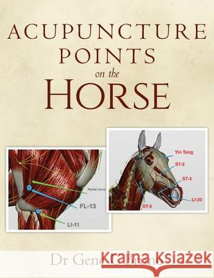 Acupuncture Points on the Horse Gene C Bruno 9781542468770 Createspace Independent Publishing Platform