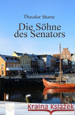 Die Söhne des Senators Storm, Theodor 9781542617246 Createspace Independent Publishing Platform