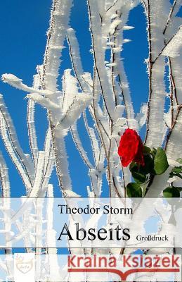 Abseits (Großdruck) Storm, Theodor 9781542626057 Createspace Independent Publishing Platform