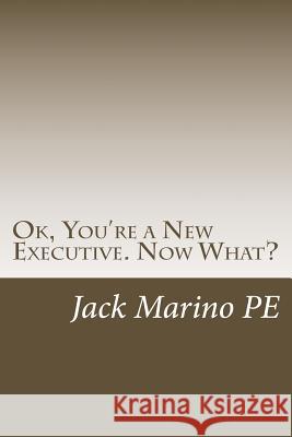 OK, You're a New Executive. Now What?: Reflections on 40 years as a small company manager Beth Levan Jack Marin 9781542729673 Createspace Independent Publishing Platform