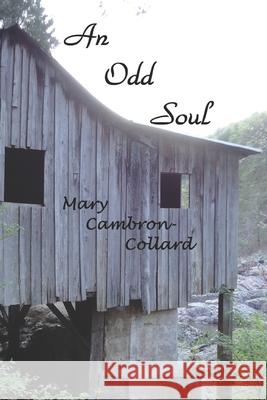 An Odd Soul Mary Cambron-Collard 9781542823005