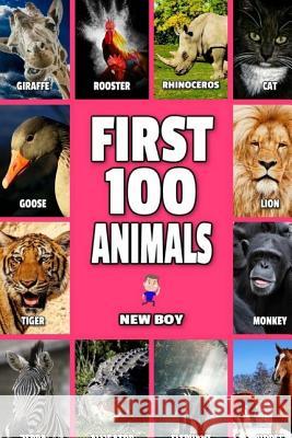 First 100 Animals: Full Color Animals Book New Boy 9781542845700 Createspace Independent Publishing Platform