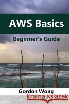 AWS Basics: Beginners Guide Wong, Gordon 9781542885751 Createspace Independent Publishing Platform