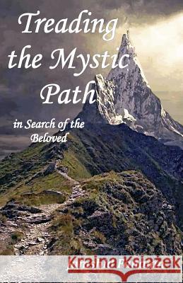 Treading the mystic Path in Search of the Beloved Fanaian, Jamshid 9781542896795 Createspace Independent Publishing Platform