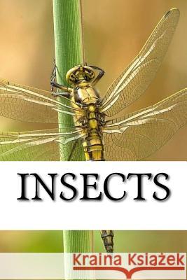 Insects Insect 9781542938242 Createspace Independent Publishing Platform