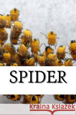 Spider Spider 9781542938327 Createspace Independent Publishing Platform