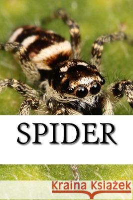 Spider Spider 9781542938358 Createspace Independent Publishing Platform