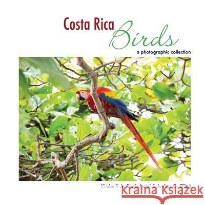 Costa Rica Birds: A Photographic Collection Amber G. Elliott Kimberli a. Bindschatel 9781543032420