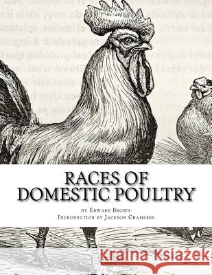 Races of Domestic Poultry: A Guide to Poultry Breeds Edward Brown Jackson Chambers 9781543055061 Createspace Independent Publishing Platform