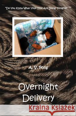 Overnight Delivery A V Pong 9781543062120