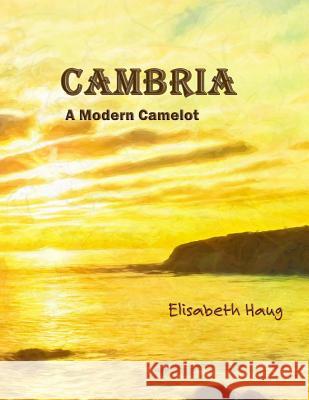 Cambria A Modern Camelot Haug, Elisabeth 9781543160611 Createspace Independent Publishing Platform