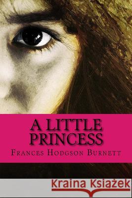 A Little Princess Frances Hodgso 9781543173741 Createspace Independent Publishing Platform