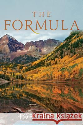 The Formula Joel Feiss 9781543174281 Createspace Independent Publishing Platform