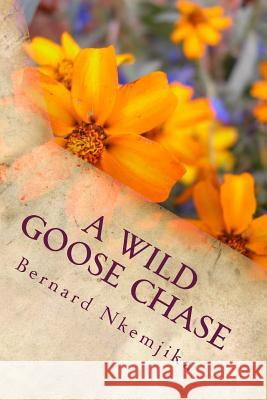 A wild goose chase Nkemjika, Bernard Chinedu 9781543208825 Createspace Independent Publishing Platform