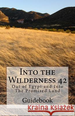Into the Wilderness 42: Out of Egypt and into The Promised Land Elisa Norman 9781543240313 Createspace Independent Publishing Platform