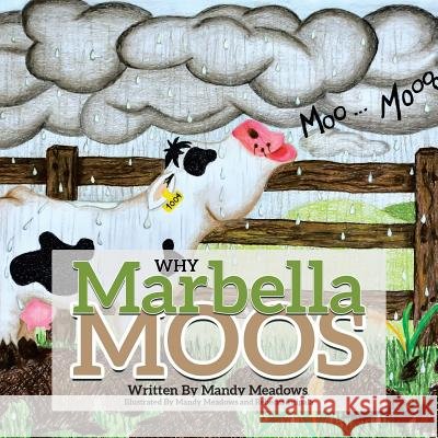 Why Marbella Moos Mandy Meadows 9781543405439