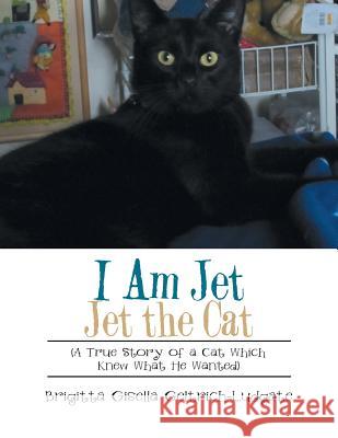 I Am Jet Jet the Cat: (A True Story of a Cat Which Knew What He Wanted) Brigitta Gisella Geltrich-Ludgate 9781543412819 Xlibris