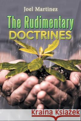 The Rudimentary Doctrines Joel Martinez 9781543429060 Xlibris