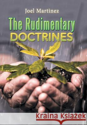 The Rudimentary Doctrines Joel Martinez 9781543429077