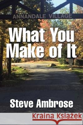 What You Make of It Steve Ambrose 9781543429725
