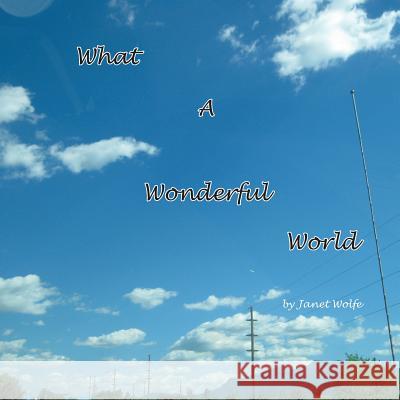 What a Wonderful World Janet Wolfe 9781543431551 Xlibris