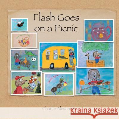 Flash Goes on a Picnic Charlie Alexander 9781543436532