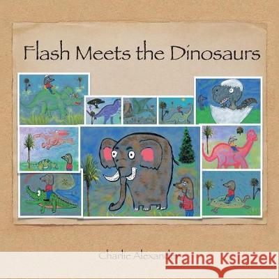Flash Meets the Dinosaurs Charlie Alexander 9781543436563
