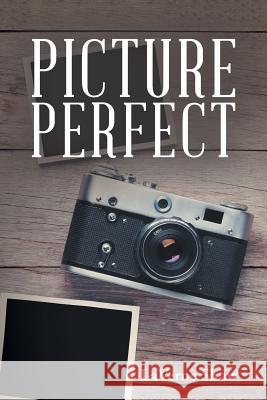 Picture Perfect LaVerne Shaw 9781543450774