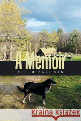 A Memoir Peter Baldwin 9781543465617