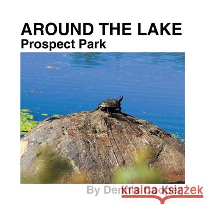 Around the Lake Prospect Park Dennis Cooper 9781543498172