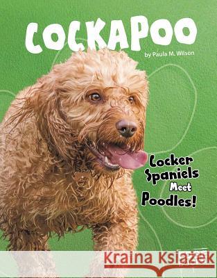 Cockapoo: Cocker Spaniels Meet Poodles! Paula M. Wilson 9781543555189 Capstone Press