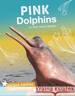 Pink Dolphins Claire Vanden Branden 9781543575118 Capstone Press